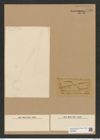 Diatomeae indet. Zeichnungen Sammlung Grunow Nr. 7733 (NHMW-BOT-W0376950)
